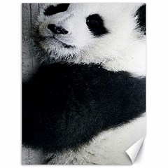 Panda Bear Sleeping Canvas 18  X 24  by Sudhe