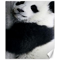 Panda Bear Sleeping Canvas 20  X 24  by Sudhe