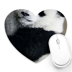 Panda Bear Sleeping Heart Mousepads by Sudhe