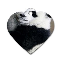 Panda Bear Sleeping Dog Tag Heart (two Sides) by Sudhe