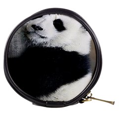 Panda Bear Sleeping Mini Makeup Bag by Sudhe