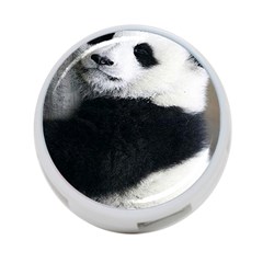 Panda Bear Sleeping 4-port Usb Hub (two Sides) by Sudhe