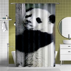 Panda Bear Sleeping Shower Curtain 48  X 72  (small)  by Sudhe