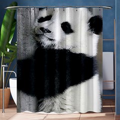 Panda Bear Sleeping Shower Curtain 60  X 72  (medium)  by Sudhe