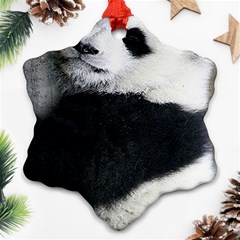 Panda Bear Sleeping Ornament (snowflake) by Sudhe