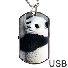 Panda Bear Sleeping Dog Tag Usb Flash (two Sides) by Sudhe