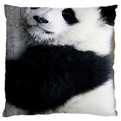 Panda Bear Sleeping Large Cushion Case (one Side) by Sudhe