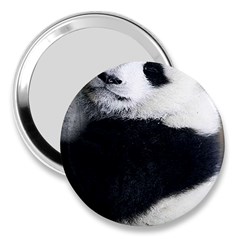 Panda Bear Sleeping 3  Handbag Mirrors by Sudhe