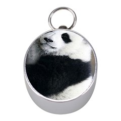 Panda Bear Sleeping Mini Silver Compasses by Sudhe