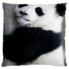 Panda Bear Sleeping Large Flano Cushion Case (one Side) by Sudhe