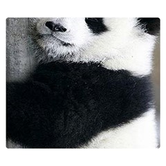 Panda Bear Sleeping Double Sided Flano Blanket (small)  by Sudhe