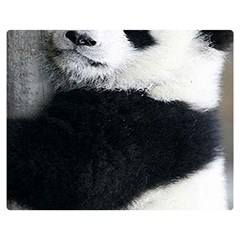 Panda Bear Sleeping Double Sided Flano Blanket (medium)  by Sudhe