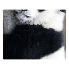 Panda Bear Sleeping Double Sided Flano Blanket (large)  by Sudhe