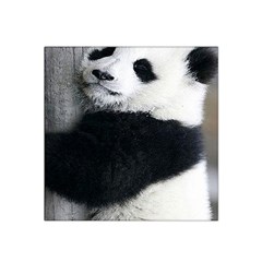 Panda Bear Sleeping Satin Bandana Scarf by Sudhe