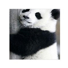 Panda Bear Sleeping Small Satin Scarf (square) by Sudhe