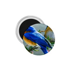 Loving Birds 1 75  Magnets