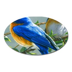 Loving Birds Oval Magnet