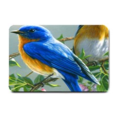 Loving Birds Small Doormat 