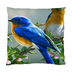 Loving Birds Standard Cushion Case (two Sides) by Sudhe