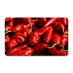 Red Chili Magnet (rectangular) by Sudhe