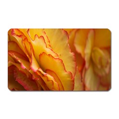 Flowers Leaves Leaf Floral Summer Magnet (rectangular) by Sudhe