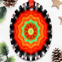 Abstract Kaleidoscope Colored Ornament (oval) by Sudhe