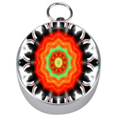 Abstract Kaleidoscope Colored Silver Compasses by Sudhe