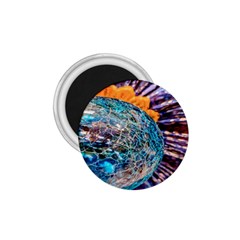 Multi Colored Glass Sphere Glass 1 75  Magnets by Sudhe