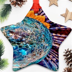 Multi Colored Glass Sphere Glass Star Ornament (two Sides) by Sudhe