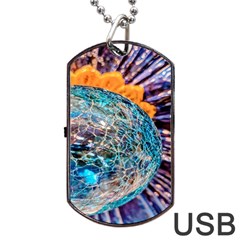 Multi Colored Glass Sphere Glass Dog Tag Usb Flash (one Side) by Sudhe