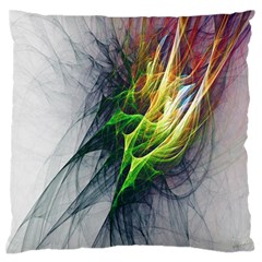 Fractal Art Paint Pattern Texture Standard Flano Cushion Case (one Side) by Sudhe