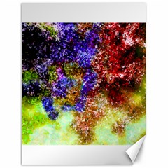 Splashes Of Color Background Canvas 12  X 16 