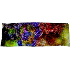 Splashes Of Color Background Body Pillow Case (dakimakura) by Sudhe