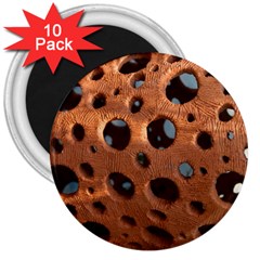 Texture Pattern Wallpaper Background Pattern Holes 3  Magnets (10 Pack)  by Sudhe