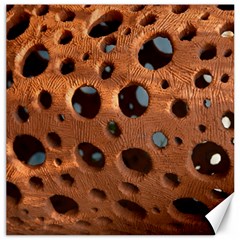 Texture Pattern Wallpaper Background Pattern Holes Canvas 16  X 16 