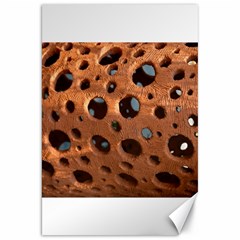 Texture Pattern Wallpaper Background Pattern Holes Canvas 20  X 30 