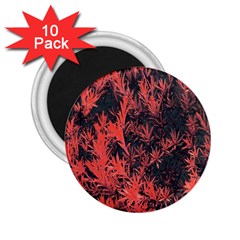 Orange Etched Background 2 25  Magnets (10 Pack)  by Sudhe