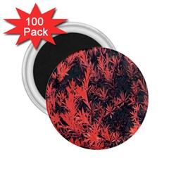 Orange Etched Background 2 25  Magnets (100 Pack)  by Sudhe