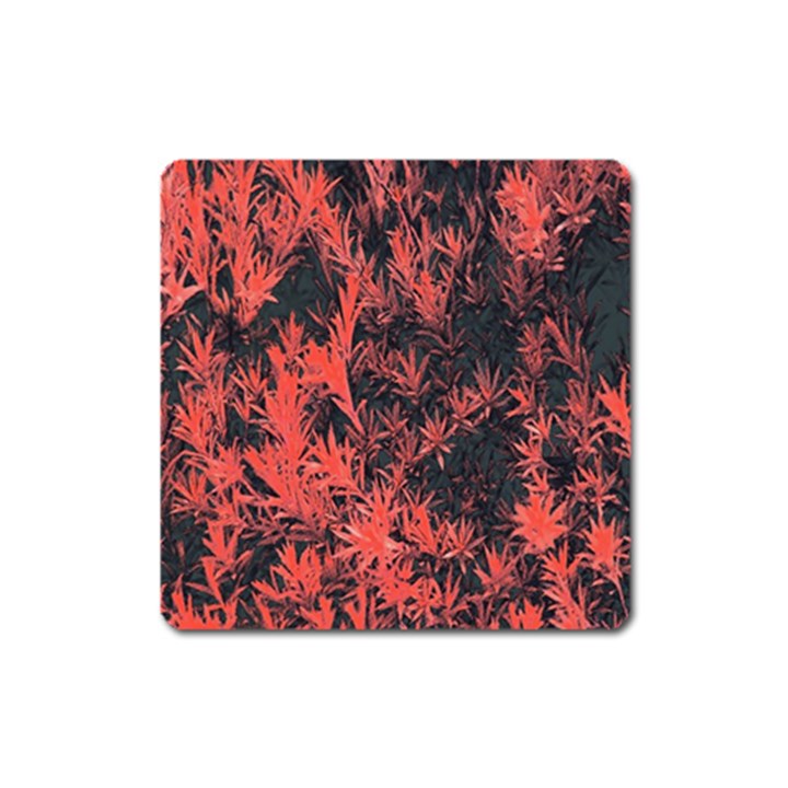 Orange Etched Background Square Magnet