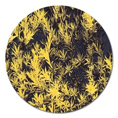 Artistic Yellow Background Magnet 5  (round) by Sudhe