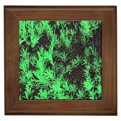 Green Etched Background Framed Tiles by Sudhe