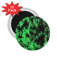 Green Etched Background 2 25  Magnets (10 Pack)  by Sudhe