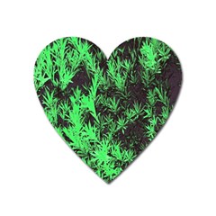 Green Etched Background Heart Magnet by Sudhe