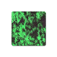 Green Etched Background Square Magnet by Sudhe