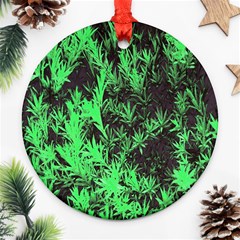 Green Etched Background Round Ornament (two Sides)