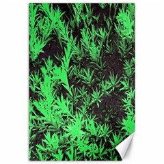 Green Etched Background Canvas 24  X 36  by Sudhe