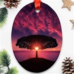 Flight Landscape Nature Sky Ornament (Oval) Front