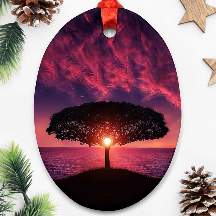 Flight Landscape Nature Sky Ornament (Oval)