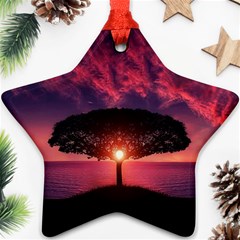 Flight Landscape Nature Sky Ornament (star) by Sudhe