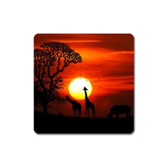 Animals Birds Dawn Giraffe Square Magnet by Sudhe